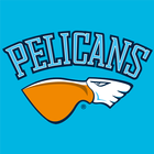 Pelicans icône