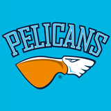 Pelicans icon