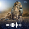 Lion sounds Ringtones APK