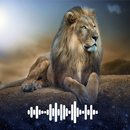 Aslan sesleri APK