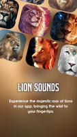 Les Sons du Lion Affiche