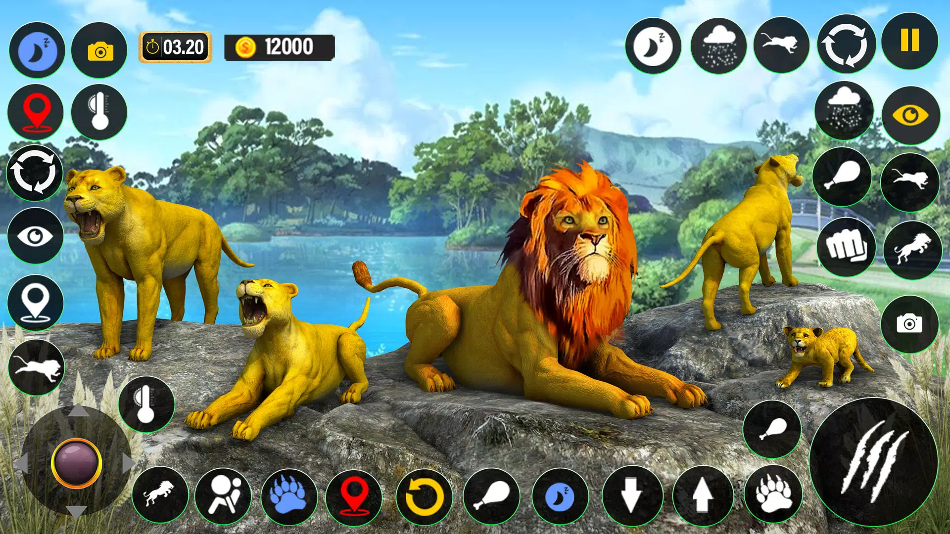 Game of lion