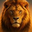 Lion Survival - Wild Beast Sim
