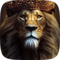 lion wallpaper