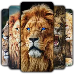 Lion Wallpaper APK download