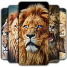 Lion Wallpaper أيقونة