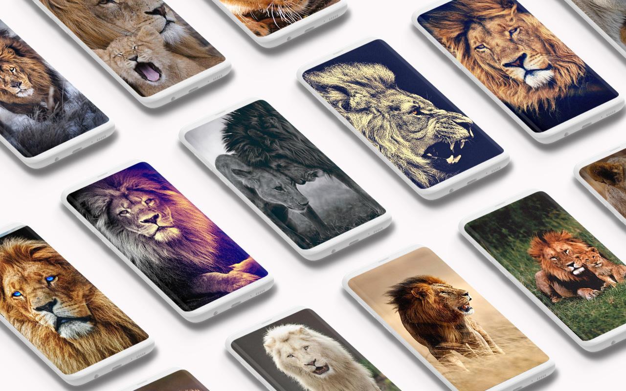 Lion Wallpaper For Android Apk Download Lion Wallpaper For Android Apk Download
