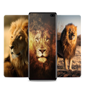 Lion wallpapers