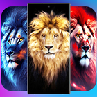 Lion 4k wallpapers আইকন