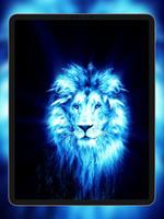 Lion 4k wallpapers পোস্টার