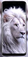 Lion 4k wallpapers স্ক্রিনশট 2