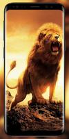 Lion 4k wallpapers স্ক্রিনশট 3