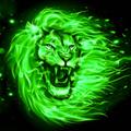 lion wallpaper
