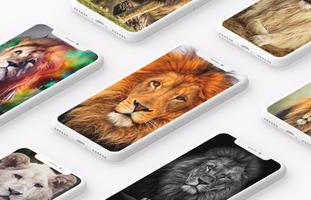 Lion Wallpaper 포스터