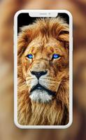 Lion Wallpaper 스크린샷 1