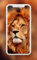Lion Wallpaper 스크린샷 2