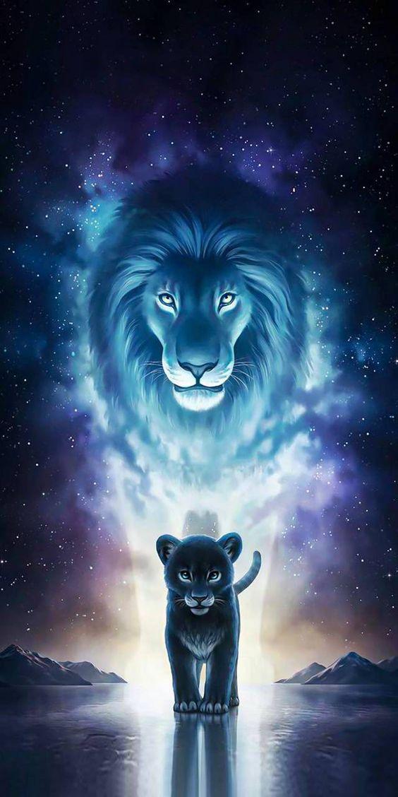 Android 用の Lion Wallpaper Apk をダウンロード Android 用の Lion Wallpaper Apk をダウンロード