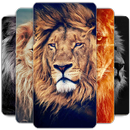 Lion Fonds d'écran HD APK