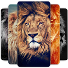 Lion Wallpapers HD-icoon