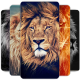 Lion Wallpapers HD