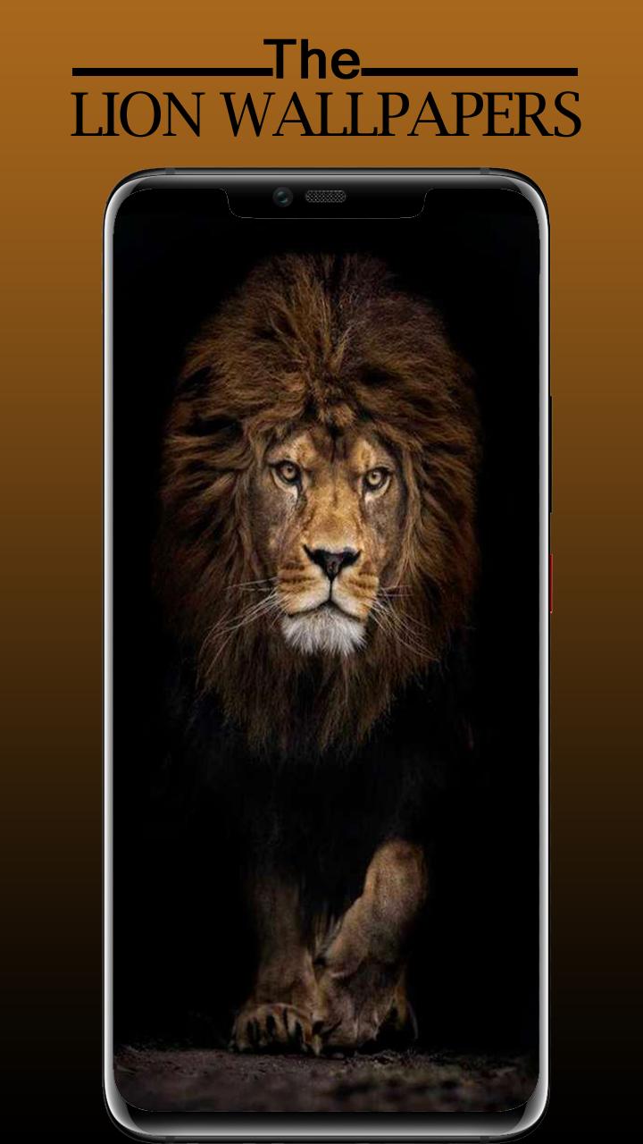 Lion Wallpaper, Sher Ka Photo APK for Android Download Lion Wallpaper, Sher Ka Photo APK for Android Download