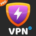 Lion VPN Pro icône