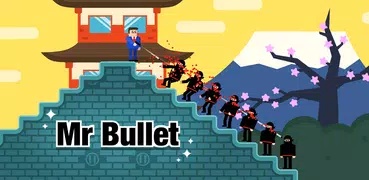 Mr Bullet – Spion-Puzzles