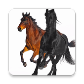Lil Nas X Old Town Road Feat Billy Ray Cyrus Remix For Android Apk Download - videos matching lil nas x old town road roblox music