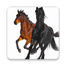 Lil Nas X Old Town Road feat Billy Ray Cyrus Remix APK
