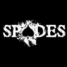 Spades icône