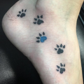 Paw Print Tattoos