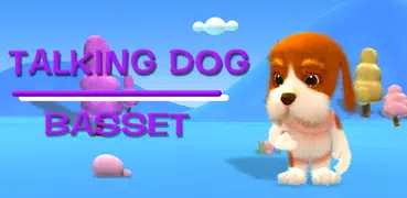 Basset falante do cão