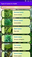 Types of Leaves for Health 포스터