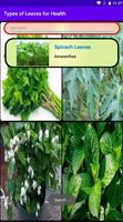 Types of Leaves for Health 스크린샷 1