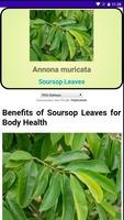 Types of Leaves for Health 스크린샷 3