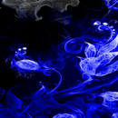 blue wallpaper APK