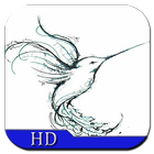 How to Draw Birds icon