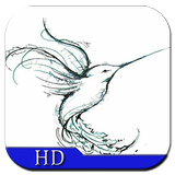 How to Draw Birds icon