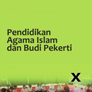 PAI dan BP 10 Kurikulum 2013 APK