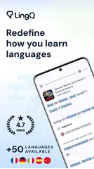 LingQ - Language Learning XAPK download