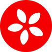 Lingdys Lesevenn icon