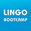 Lingo Bootcamp: Master English