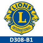 LCI D308-B1 icône