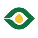 윙키스트: 매일 책 요약 APK