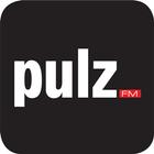PulzFM আইকন