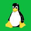 Linux Commands & Guide