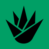 Agave アイコン