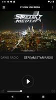 STREAM STAR MEDIA 截图 2