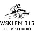 WSKI FM 313 ROBSKI APK