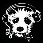 ikon Houndstooth Radio
